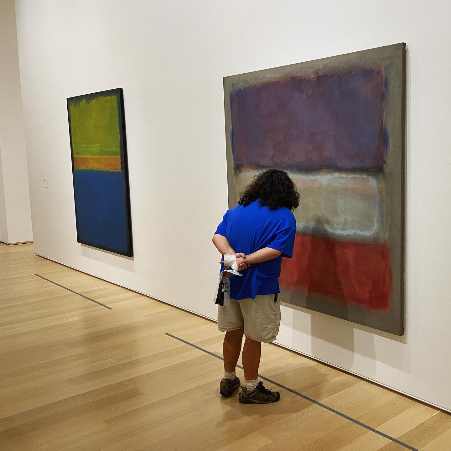 mr. evan pincus staring down a painting by mark rothko at the art institute of chicago